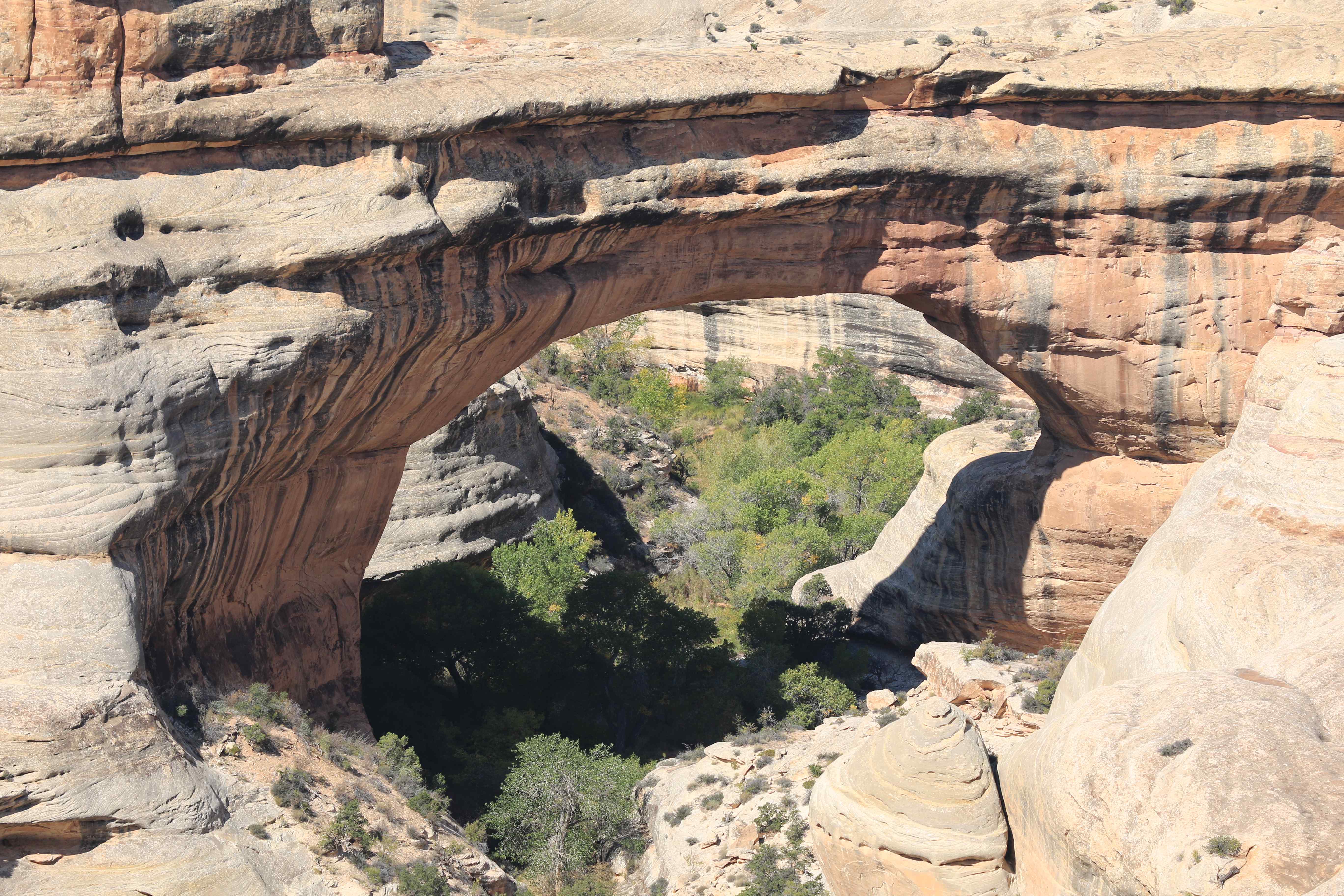 Natural Bridges NM